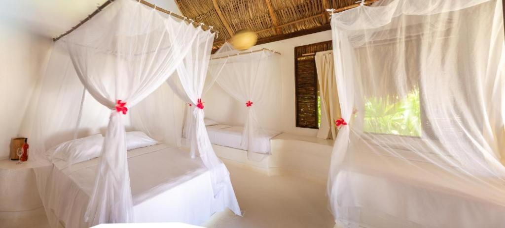 Hotel Casalina Паломино Екстериор снимка